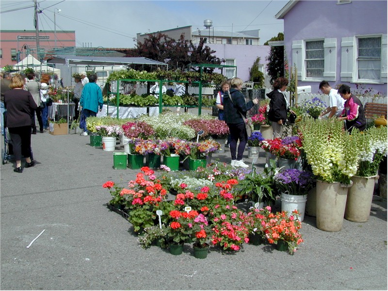 Flower Market in Half Moon Bay